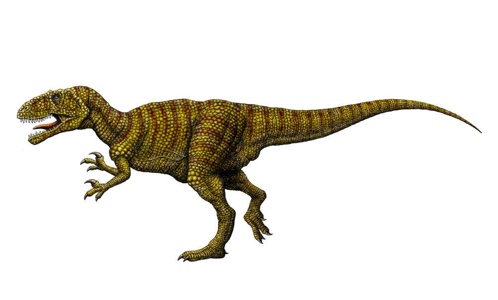 Megalosaurus